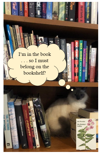 missy  in bookshelf.png